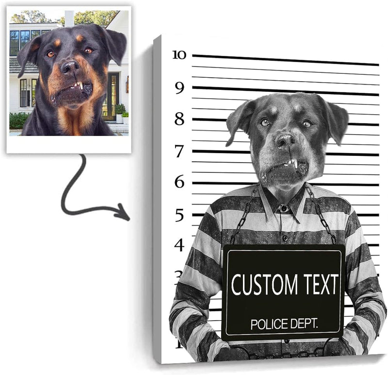 Mugshot Trouble Maker